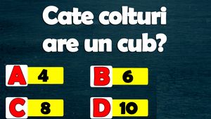 Testul de inteligență banal, dar la care mulți greșesc | Câte colțuri are un cub: 4, 6, 8 sau 10?
