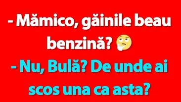 BANC | Bulă, găinile și scumpitul benzinei