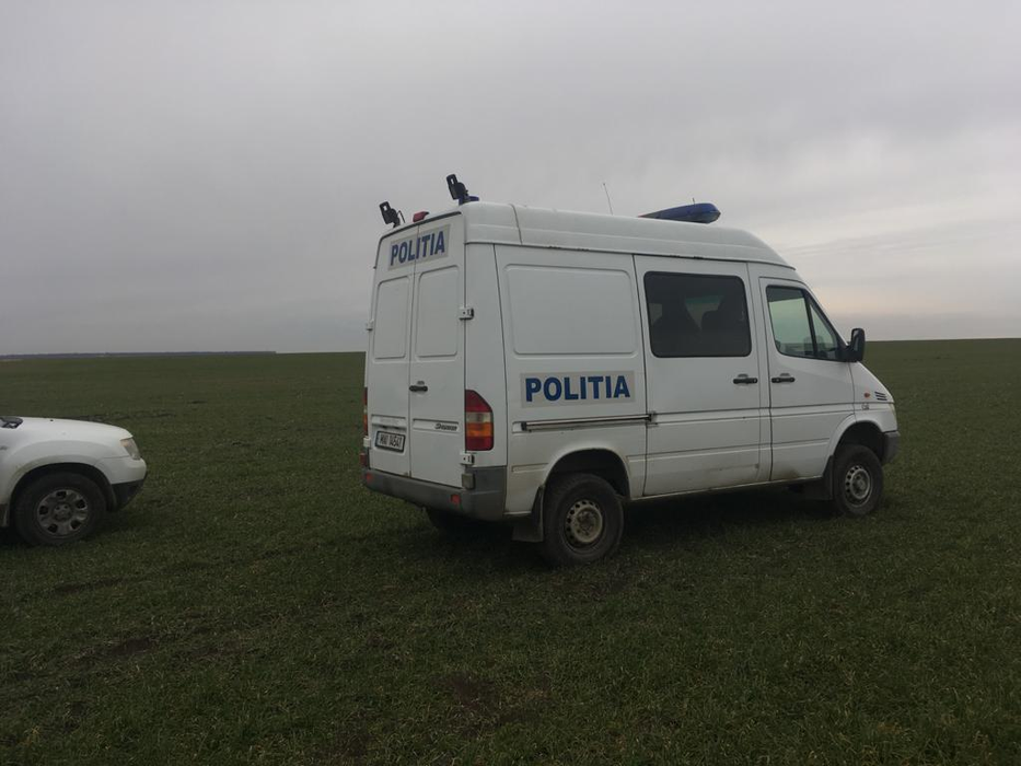 Caprioarele au murit după ce au mâncat otrava de șoareci lăsată pe câmp