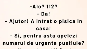 BANCUL ZILEI | Ajutor! A intrat pisica în casă