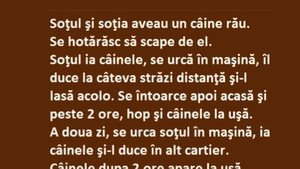 BANCUL ZILEI | Soțul, nevasta și câinele rău
