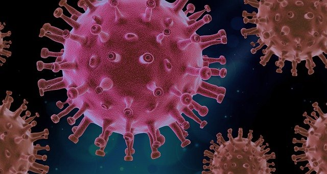 Avertismentul transmis de OMS: ”Suntem acum în stadiile incipiente ale unui alt val de infecții și decese”