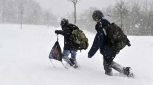 COD GALBEN de ninsori si polei! Ce se intampla cu scolile zilele acestea