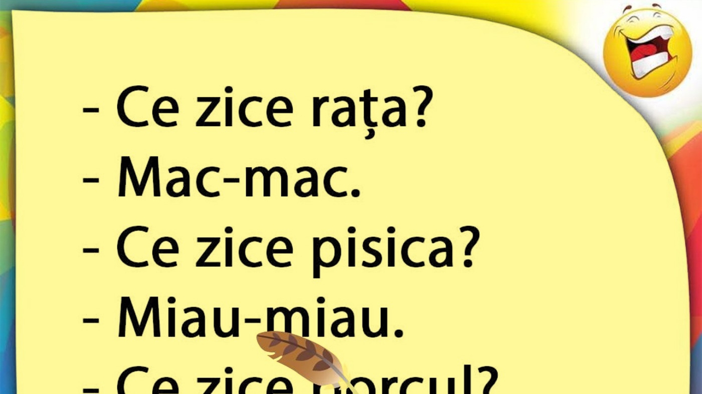 BANCUL ZILEI | Rața, pisica și porcul