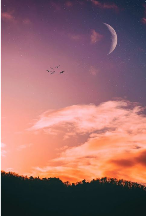 Ce este Superluna Roz, fenomenul care va fi vizibil chiar la noapte! Ce se întâmplă, de fapt, cu Luna