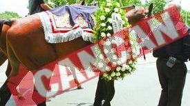 Adio, cavalere!