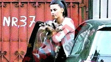 I-a lasat un mesaj sub stergator