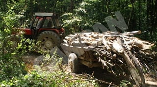 Si-a ucis tatal cu rotile de la remorca tractorului