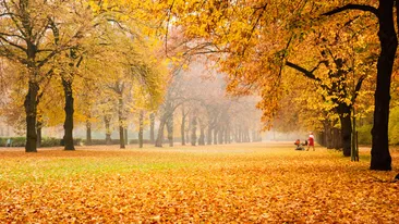 METEO 20 OCTOMBRIE: Vreme frumoasă în toată ţara