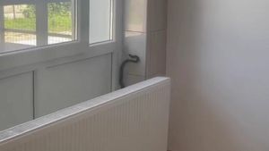 Invazie de șerpi într-un spital din Olt. Pompierii au intervenit pentru înlăturarea reptilei