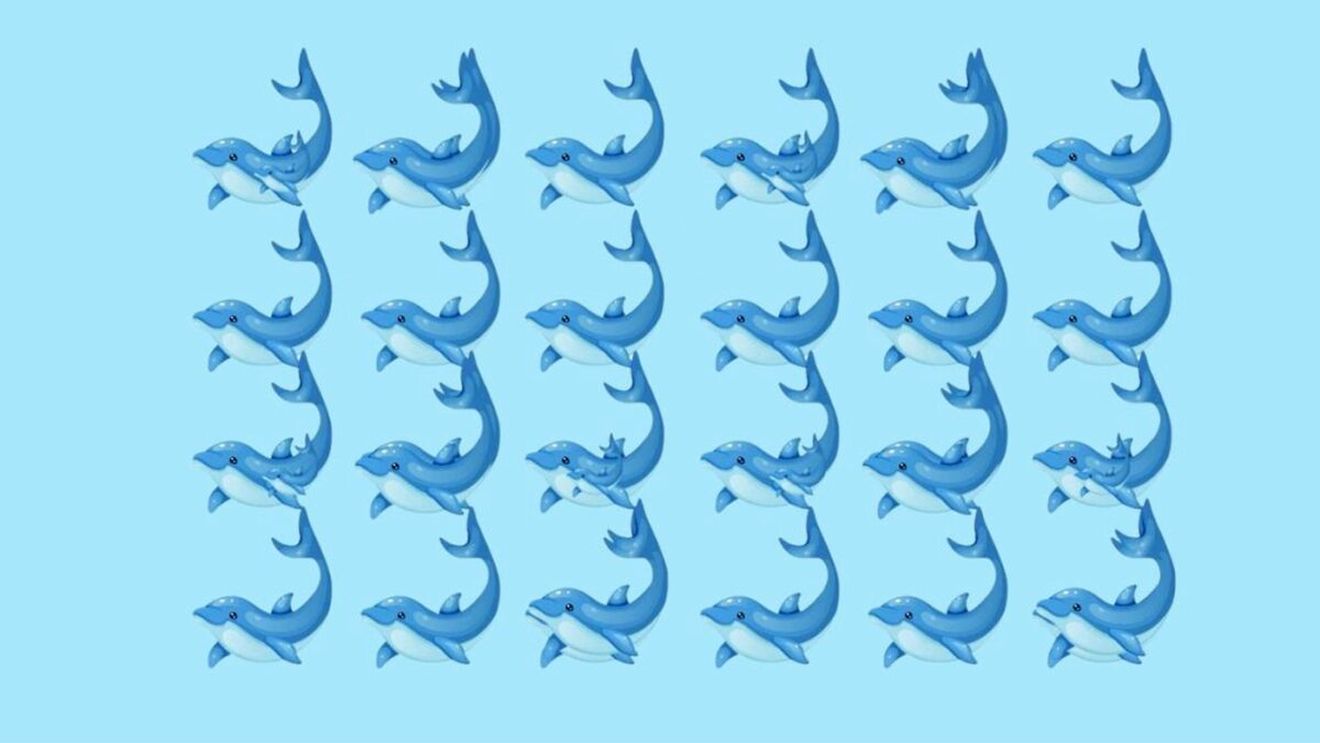 Test IQ exclusiv pentru genii | Câți delfini sunt, de fapt, în această imagine?
