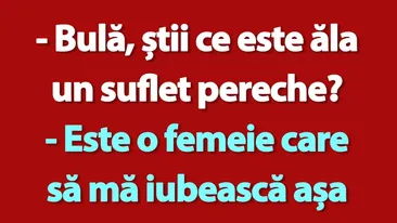 BANC | Bulă și sufletul-pereche