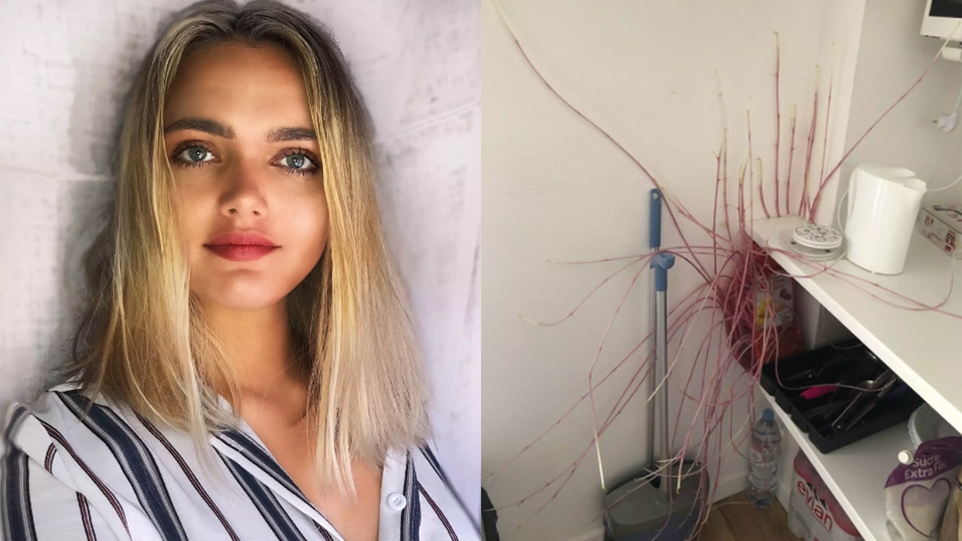 Tânăra din imagine s-a mutat la iubitul ei. Ireal ce a găsit în apartamentul ei, când s-a întors acasă, după jumătate de an