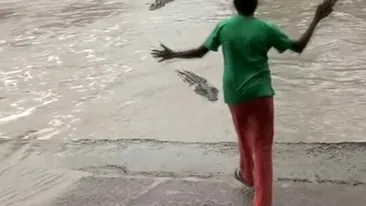 Această femeie a pus un crocodil pe fugă doar c-un şlap! Imaginile incredibile au devenit virale instant