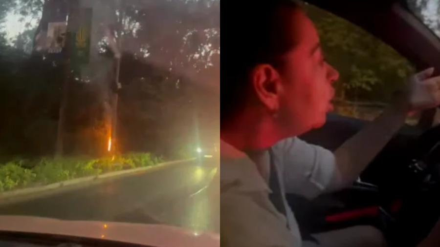 Oana Roman, scandal în trafic. S-a luat la ceartă cu polițiștii: „Au urlat la mine”