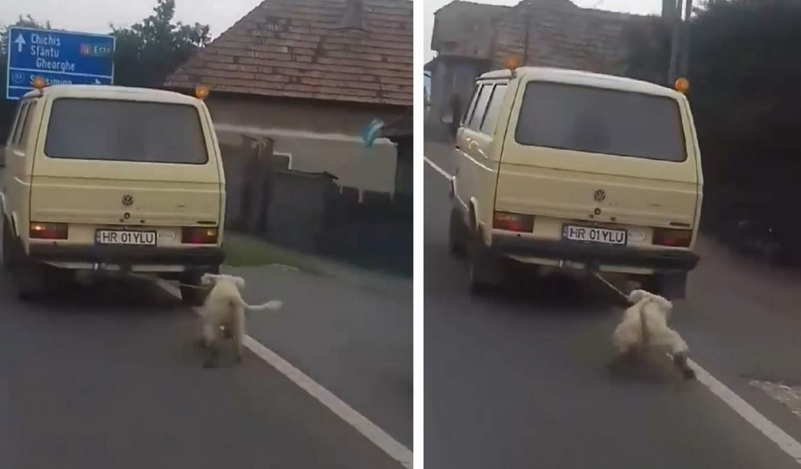 Halucinant! Cine este bărbatul din Harghita care a legat câinele de mașină și l-a târât pe șosea