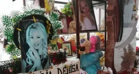 Galerie foto - poza 4