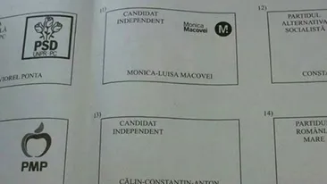 Ce a putut SĂ SCRIE un român pe BULETINUL DE VOT! Poza rupe INTERNETUL în această SEARĂ