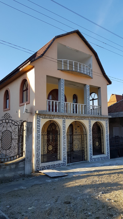 Cele mai multe dintre zecile de palate din Covăsânţ zac nelocuite