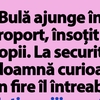 BANC | Bulă ajunge în aeroport, însoțit de 13 copii