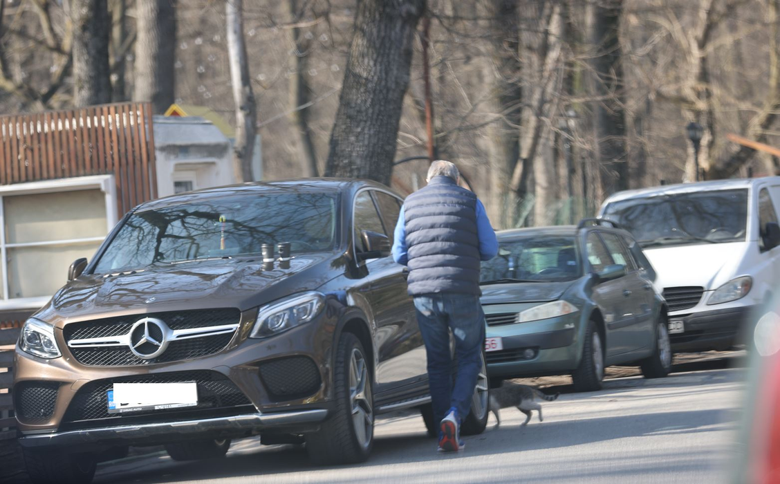 Ilie Năstase, întâmpinat de pisică (Foto: CANCAN.RO)