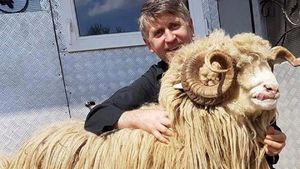 Scandal Pomohaci. Susţinătorii preotului-cântăreţ s-au dus cu jalba la Episcopie şi la Patriarhie