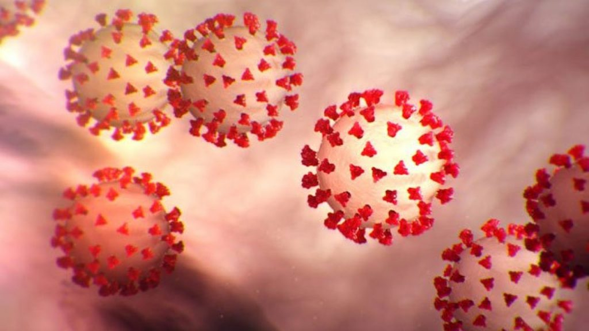 O femeie de 103 ani s-a vindecat de coronavirus în doar 6 zile