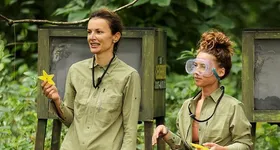 Galerie foto - poza 2