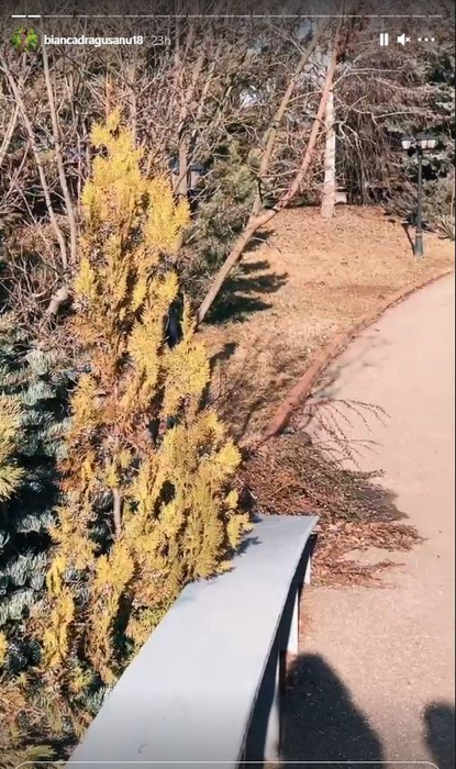 Bianca Drăgușanu a primit din nou BMW-ul X7 de la Gabi Bădălău. Cu cine s-a plimbat afacerista și ce mesaj emoționant a transmis