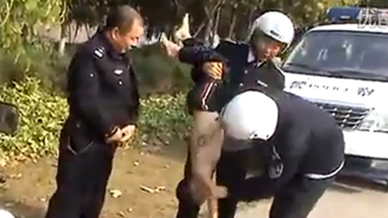 VIDEO Incredibil! Vezi in ce stil barbar resusciteaza niste politisti chinezi un copil salvat de la inec!