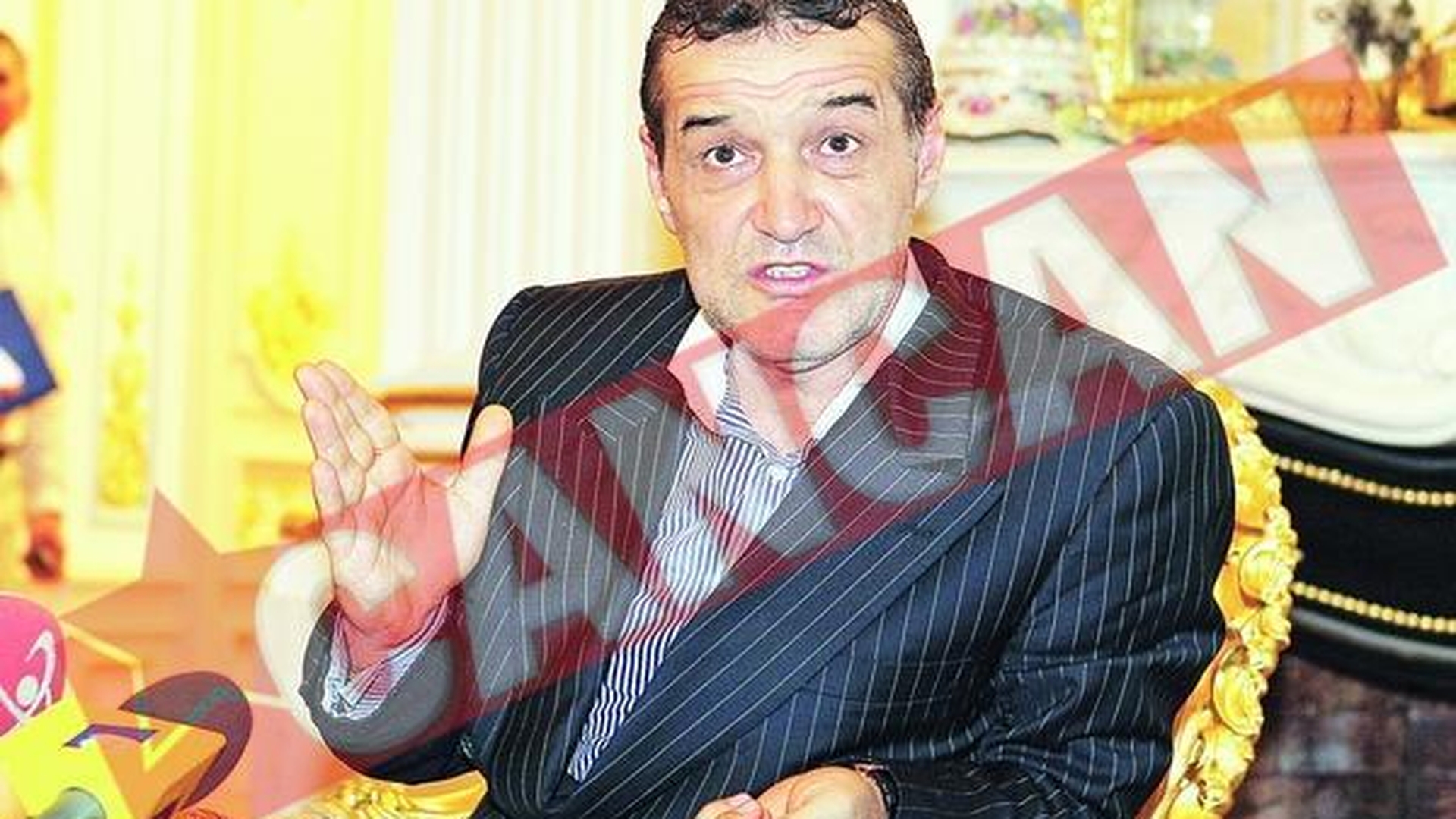 Becali nu are voie sa candideze in colegiile PD-L
