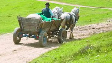 A omorat in bataie un batran si a pretins ca a vrut sa-l salveze