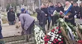 Galerie foto - poza 3