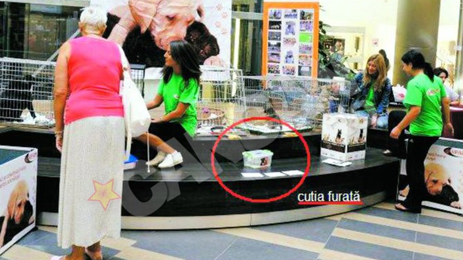 Lovitura pentru membrii unei asociatii de protectie a animalelor! Le-au furat cutia cu donatii