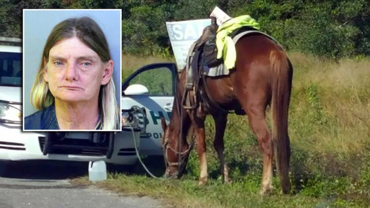 O femeie a fost arestată pentru un gest care multor oameni li se pare banal. A fost găsită alături de calul ei şi dusă de urgenţă la Poliţie