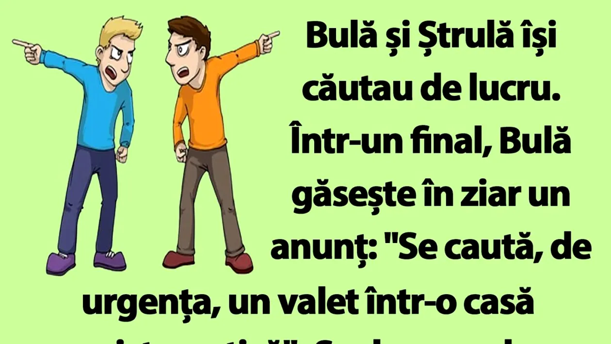 BANC | Bulă și Ștrulă își căutau de lucru