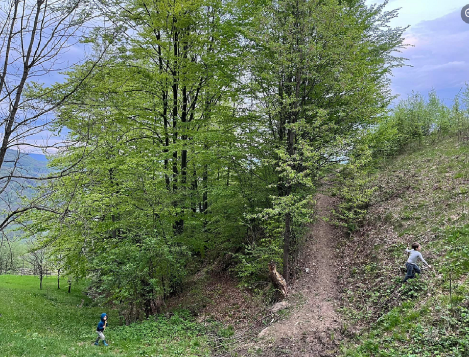 Și-au găsit fericirea după ce au părăsit Bucureștiul și s-au mutat în vârful unui deal din Maramureș. Povestea unei familii cu 4 copii care s-a regăsit într-un loc parcă atins de Dumnezeu