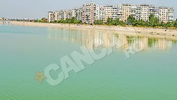 Moartea pasarilor de pe Lacul Morii ramane un mister! Nu apa ucide pescarusii