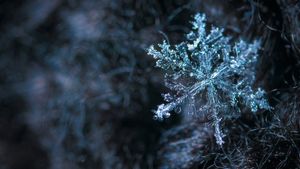 Iarna își intră în drepturi! O nouă avertizare de vreme rea, emisă de meteorologi
