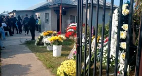 Galerie foto - poza 3