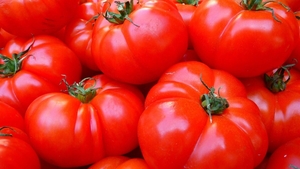 Supermarketul care va vinde doar roșii românești începând cu 19 iunie 2025. Vor fi livrate de 100 de producători din opt județe