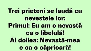 BANCUL ZILEI | 3 prieteni se laudă cu nevestele lor