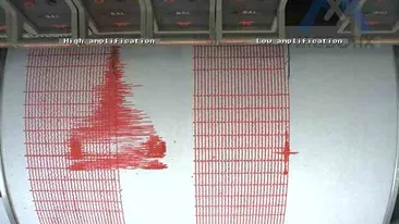 Pamantul s-a cutremurat din nou in Vrancea! Vezi ce magnitudine a avut seismul de astazi