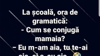 BANCUL ZILEI | La școală, ora de gramatică: „Cum se conjugă mamaia?”