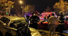 Galerie foto - poza 3