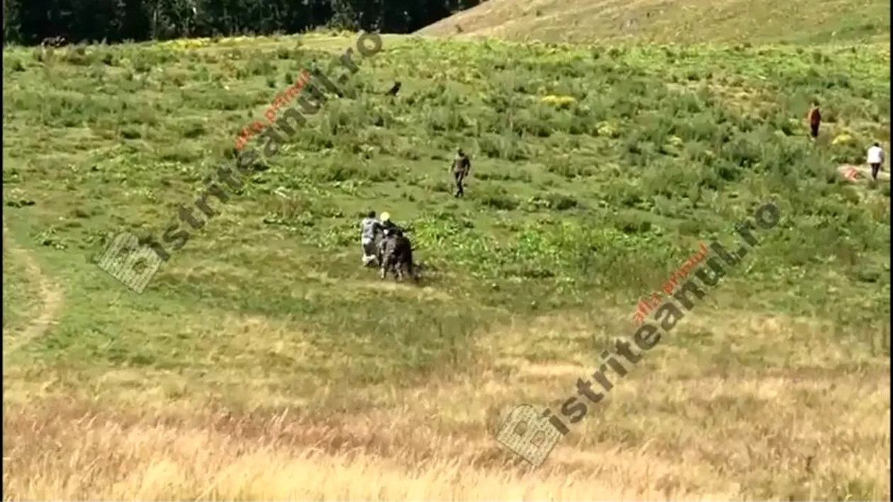 Motociclist din Belgia, rupt cu bătaia de 3 ciobani din satul Colibița. Motivul e de-a dreptul uluitor