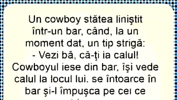 BANC | Un cowboy stătea liniștit într-un bar