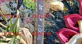 Galerie foto - poza 4