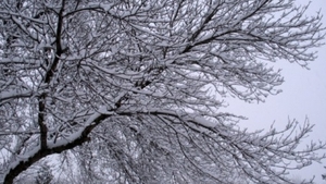 Prognoza meteo pentru vineri. Se incalzeste si...Afla cum sa te imbraci