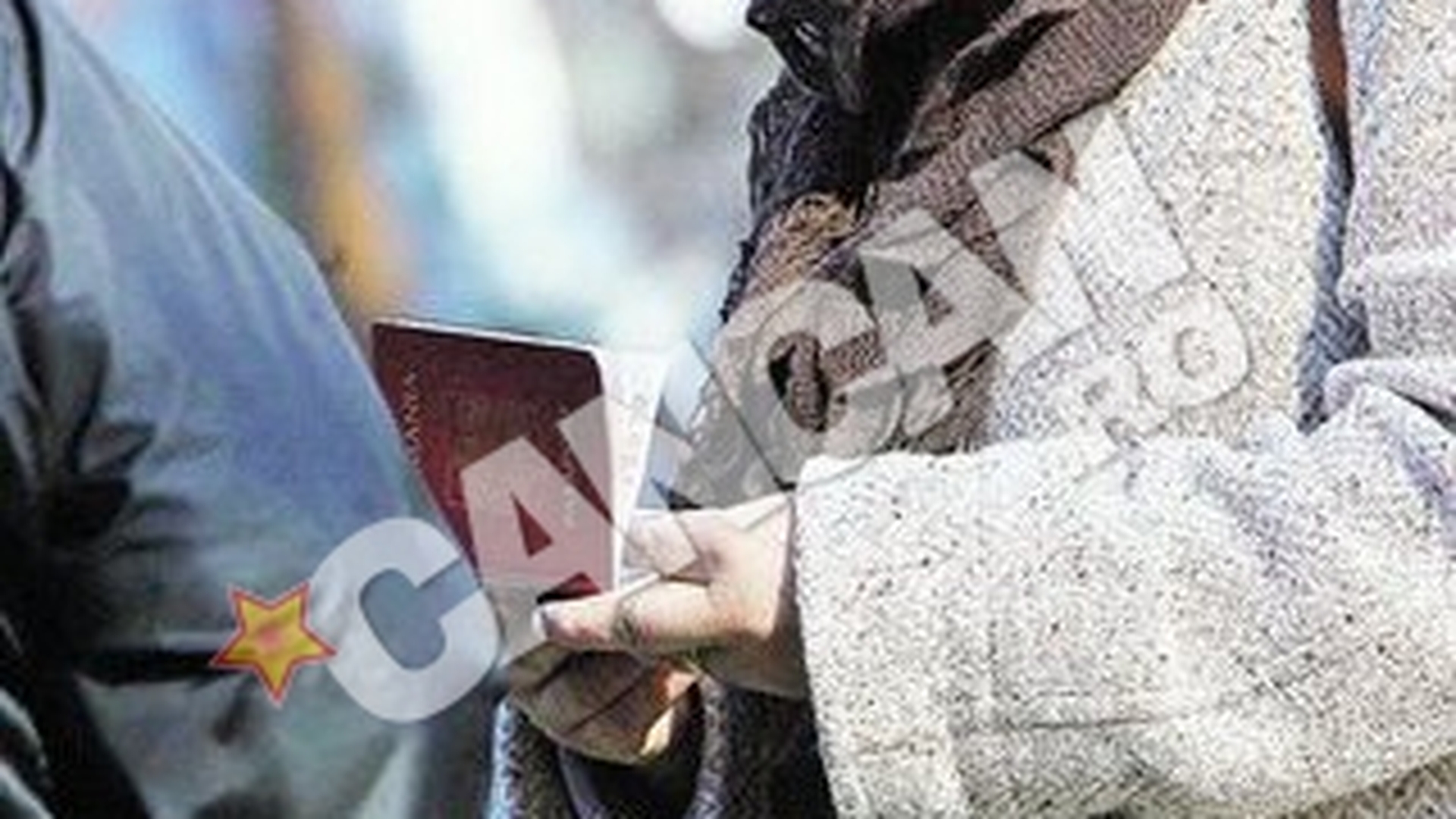 Isi ia teatrul si-l duce peste Ocean. Dupa buletin de Bucuresti, Diaconu a primit si viza de Canada